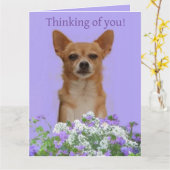 Personaliseer Hond groot "Denk aan jou" Kaart (Gele Bloem)
