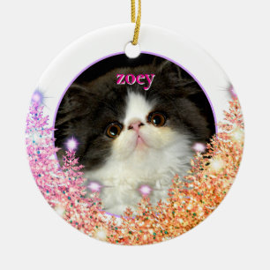 Personaliseer huisdier ornament roze mousserende g