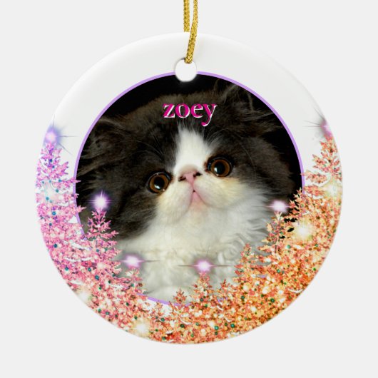Personaliseer huisdier ornament roze mousserende g (Voorkant)