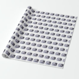 Personaliseer, Jongen, Eerste Communie Blauw Cadeaupapier