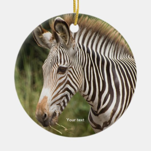 Personaliseer Juveniele Zebra Keramisch Ornament (Voorkant)