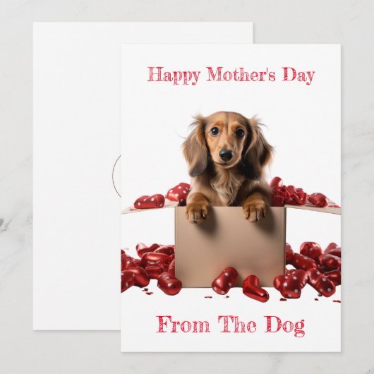 Personaliseer Lange Haar Dachshund Pup Moederdag Feestdagenkaart (Voorkant / Achterkant)