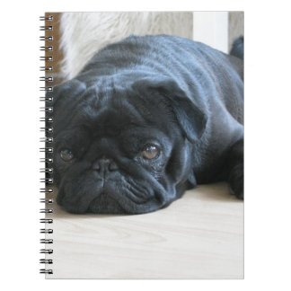 Personaliseer leuke zwarte Pug puppy accessoires n Notitieboek