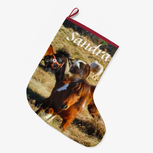 Personaliseer miniatuur pony's grote kerstsok (Voorkant (Hangend))