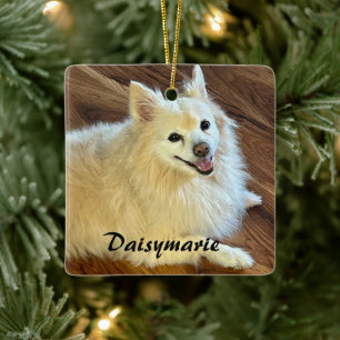 Personaliseer mooie huisdier foto en naam keramisch ornament