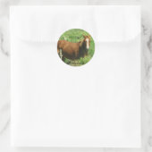 Personaliseer Naam Paard Ronde Sticker (Tas)