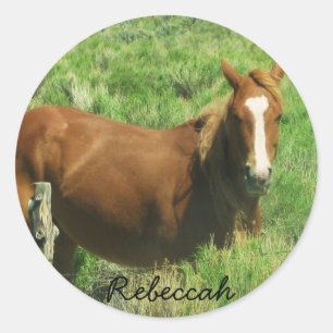 Personaliseer Naam Paard Ronde Sticker