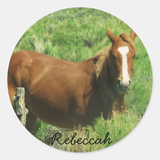 Personaliseer Naam Paard Ronde Sticker (Voorkant)