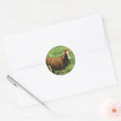 Personaliseer Naam Paard Ronde Sticker (Envelop)