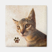 Personaliseer Schattigee Pet Kitten Foto Aangepast Magneet (Voorkant)