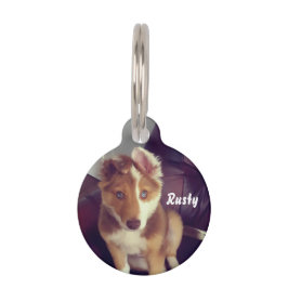 Personaliseer uw eigen huisdierpenning