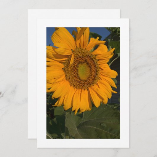 Personaliseer uw Kaart Custom Invitation (Voorkant / Achterkant)