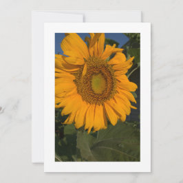 Personaliseer uw Kaart Custom Invitation