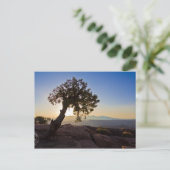 Personaliseerbaar: Canyonlands & Dead Horse Point  Briefkaart (Staand voorkant)