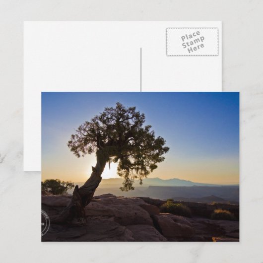 Personaliseerbaar: Canyonlands & Dead Horse Point  Briefkaart (Voorkant / Achterkant)