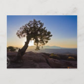 Personaliseerbaar: Canyonlands & Dead Horse Point  Briefkaart (Voorkant)