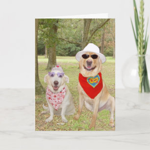 Personaliseerbare Grappige Honden Feestdagen Kaart