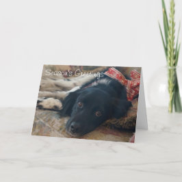 Personaliseerbare Kerstmis van Notecard van de Feestdagen Kaart