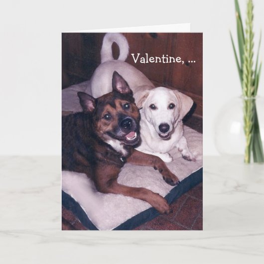 Personaliseerbare Leuke Honden Valentijn Feestdagen Kaart (Voorkant)