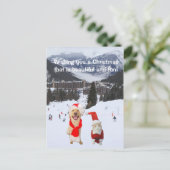 Personaliseerbare met Hond & Kat in Alpen Feestdagenkaart (Staand voorkant)