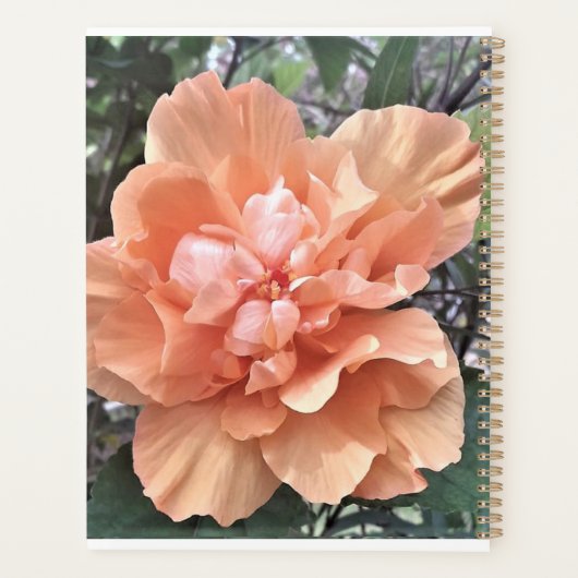 PERSONALISEERDE FOTOPLANNER PLANNER (Achterkant)