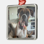 PERSONALISEREN Modern PET FOTO Ornament (Links)