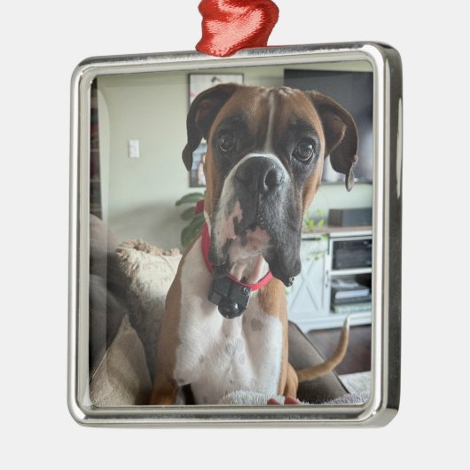 PERSONALISEREN Modern PET FOTO Ornament (Links)