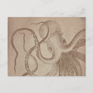 Personaliseren | oude octopus |  document zee briefkaart