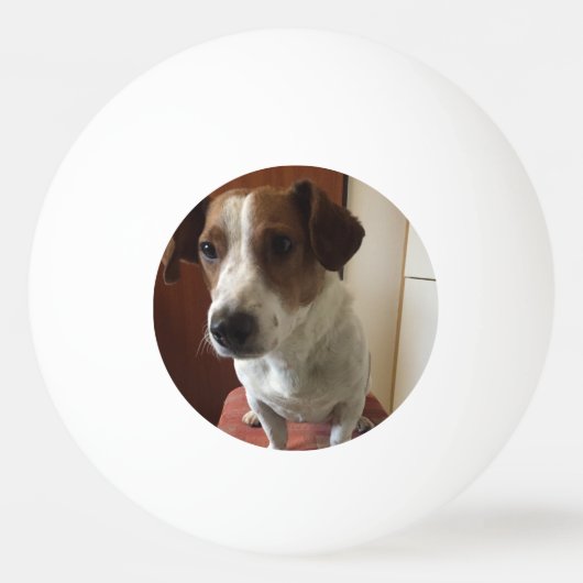 personalisiert Tischtennis ball (Voorkant)