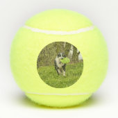 Personalize Halloween Frankenwalk Funny Dog Tennisballen (Achterkant)