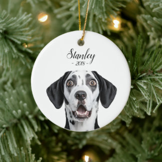 personalize pet name & picture keramisch ornament