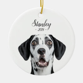 personalize pet name & picture keramisch ornament