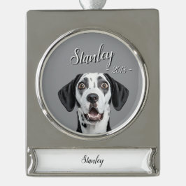 personalize pet name & picture verzilverd banner ornament