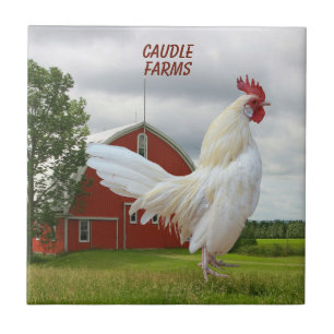 PERSONALIZE WHITE ROCK ROOSTER CERAMIC TILE TEGELTJE