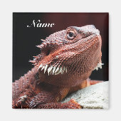 Personalized Adult Red Bearded Dragon Lizard Magneet (Voorkant)
