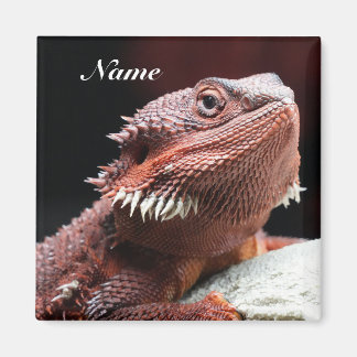 Personalized Adult Red Bearded Dragon Lizard Magneet