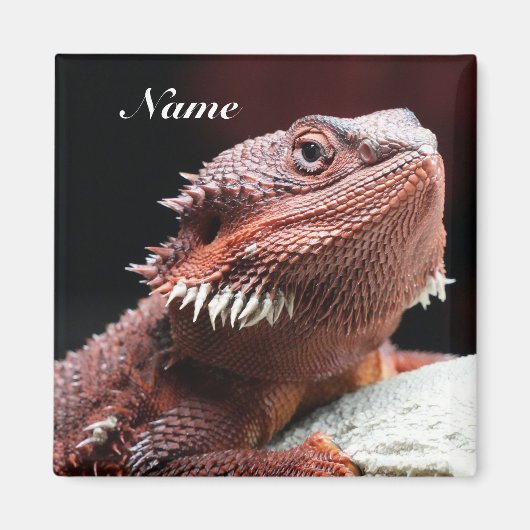 Personalized Adult Red Bearded Dragon Lizard Magneet (Voorkant)