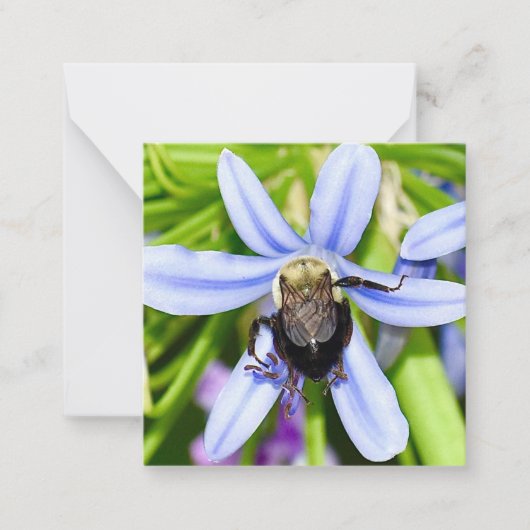 Personalized bee in flower mini notecards notitiekaartje (Voorkant)