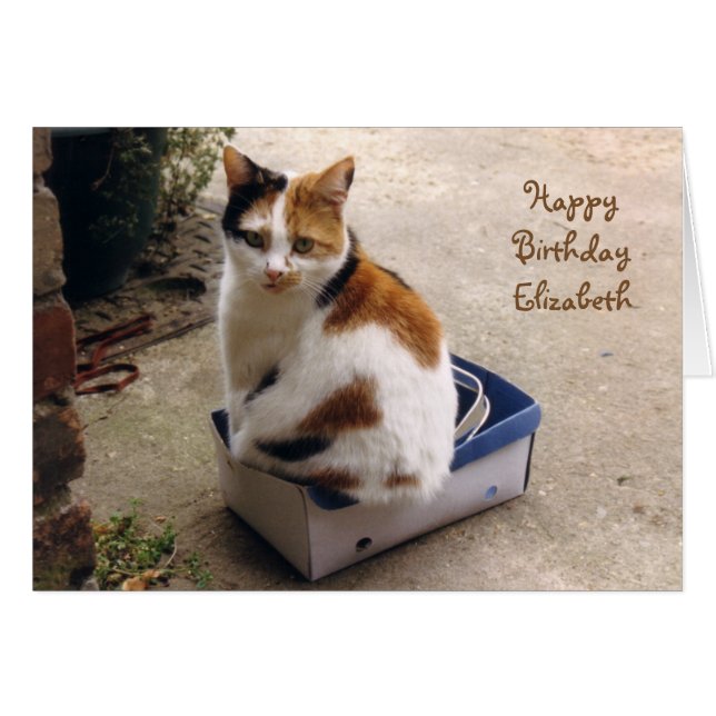 Personalized Calico cat sat in a box Birthday (Voorkant Horizontaal)