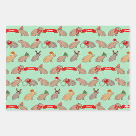 Personalized Capybara Cute Wildlife Christmas Inpakpapier Vel
