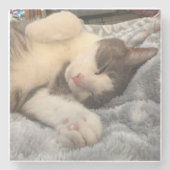 Personalized Cat Photo Pet Lover Gift Stenen Onderzetter (Voorkant)