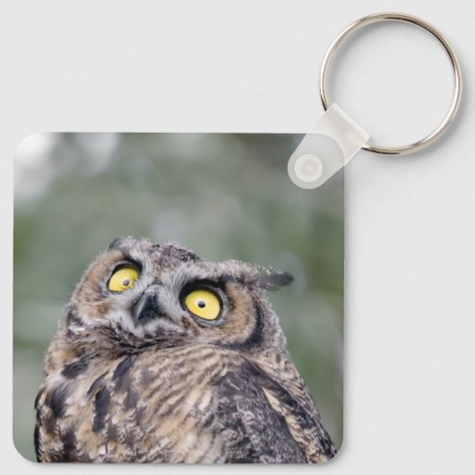Personalized Cute Owl Keychain - Add Your Name (Achterkant)