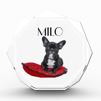 Personalized Dog Fotoblokken