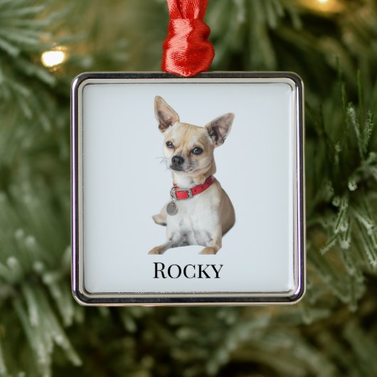 Personalized Dog Photo | Custom Pet Name  Metalen Ornament (Boom)