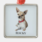 Personalized Dog Photo | Custom Pet Name  Metalen Ornament (Voorkant)