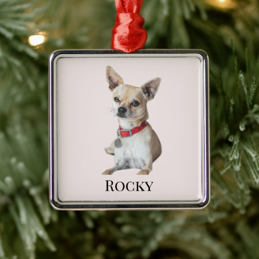 Personalized Dog Photo | Custom Pet Name  Metalen Ornament (Boom)