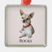 Personalized Dog Photo | Custom Pet Name  Metalen Ornament (Voorkant)