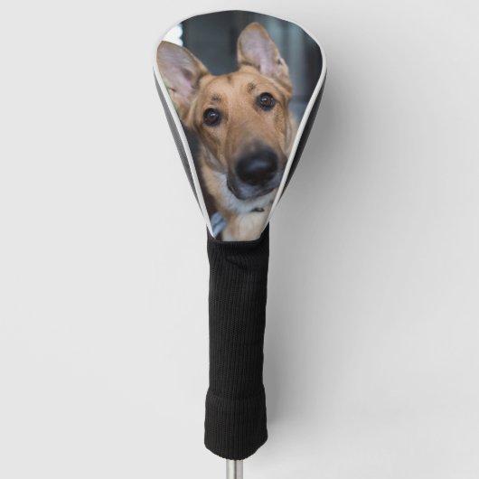 Personalized Dog Photo Golfheadcover (Voorkant)