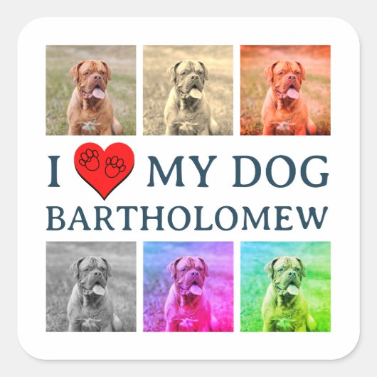 Personalized Dog Pop Art Pet Lover Gift Vierkante Sticker (Voorkant)