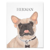 Personalized Fawn Mask Frenchie French Bulldog Foto Afdruk (Voorkant)
